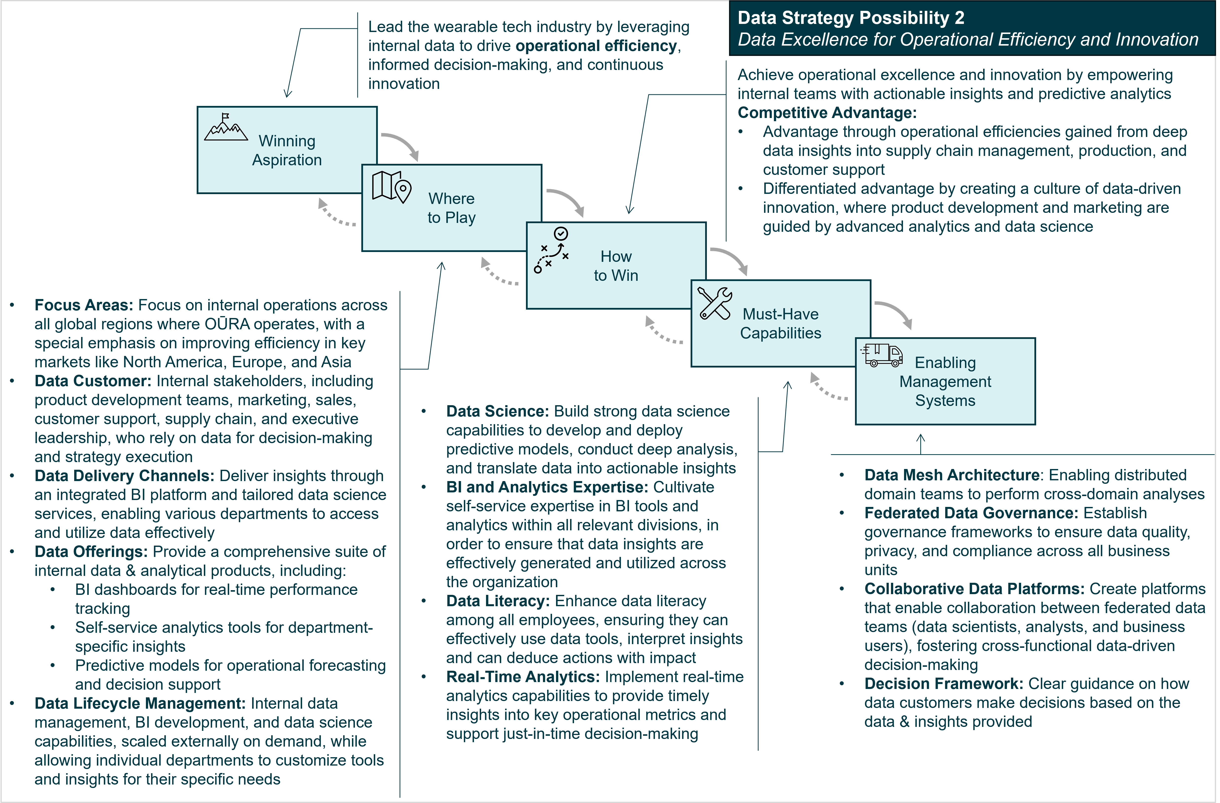 Figure 9: Data Strategy Possibility 2 for OŪRA: Data Excellence for Operational Efficiency and Innovation