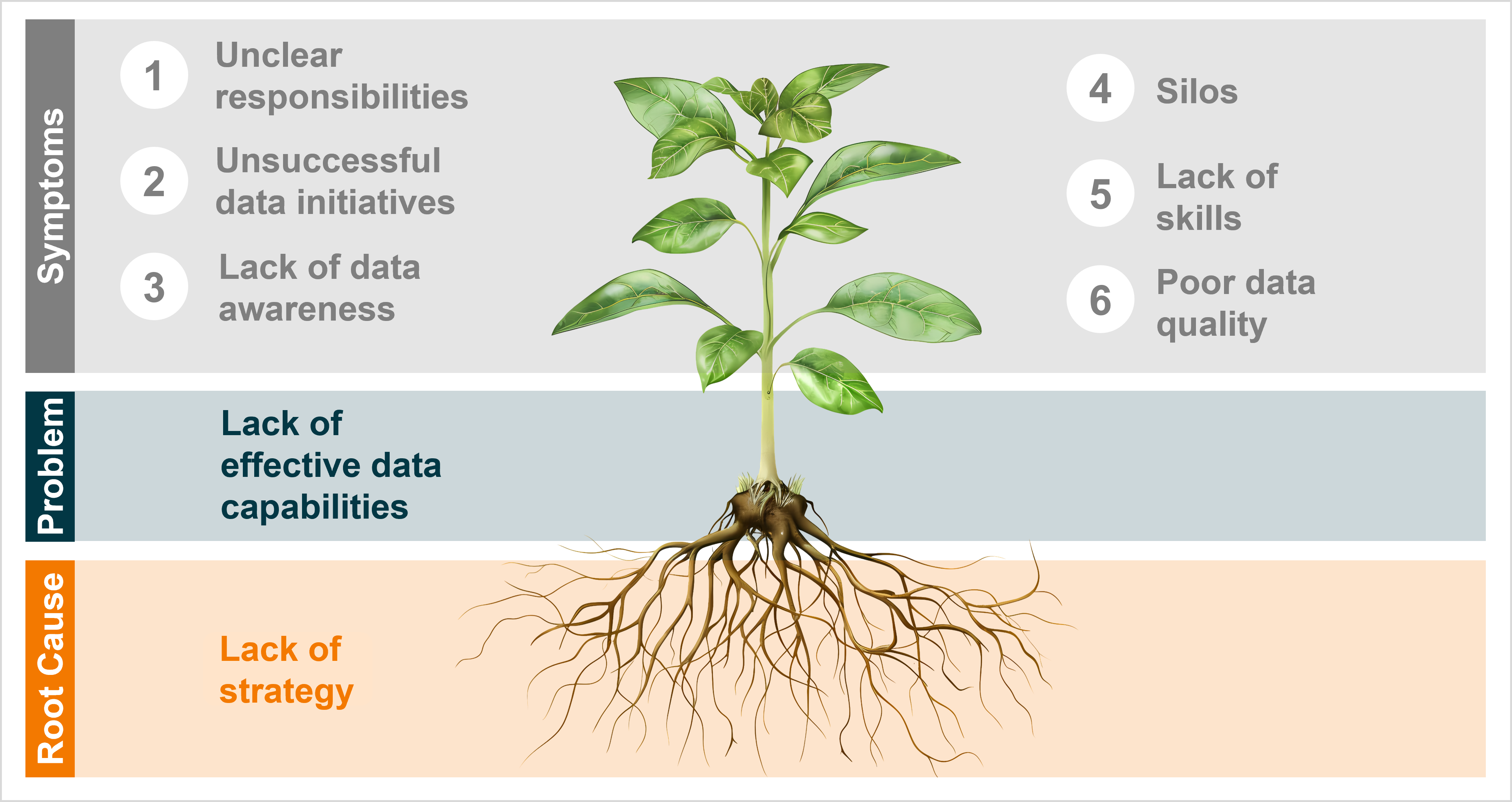Root cause, problem and symptoms as an analogy of a plant: The symptoms are the leaves, the problem is the trunk, the root cause — surprise — is the root.