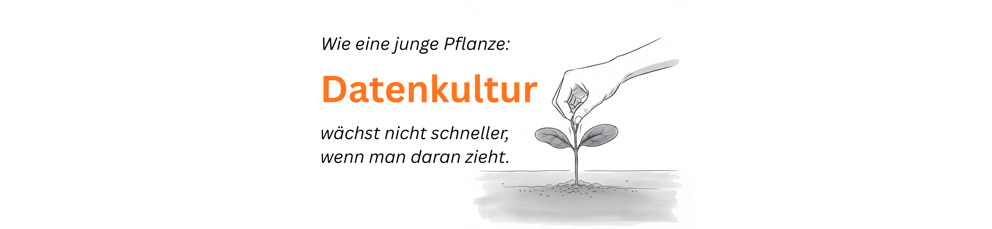 Warum Sie Datenkultur nicht “designen” können