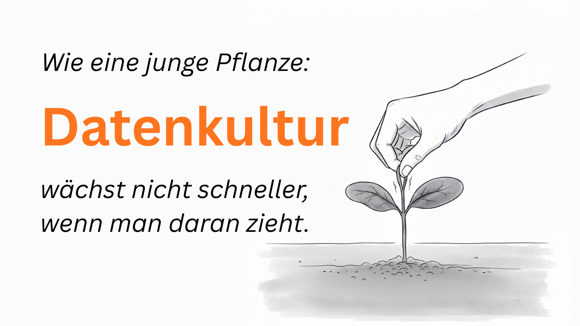 Warum Sie Datenkultur nicht “designen” können