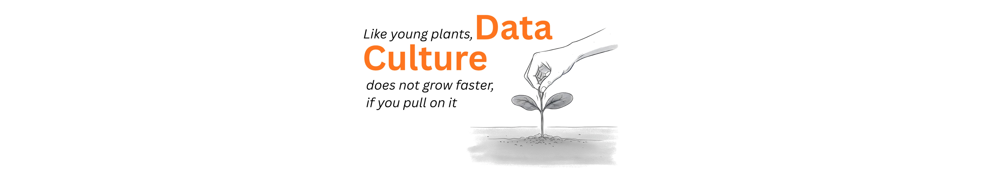 Stop Trying to Engineer Data Culture