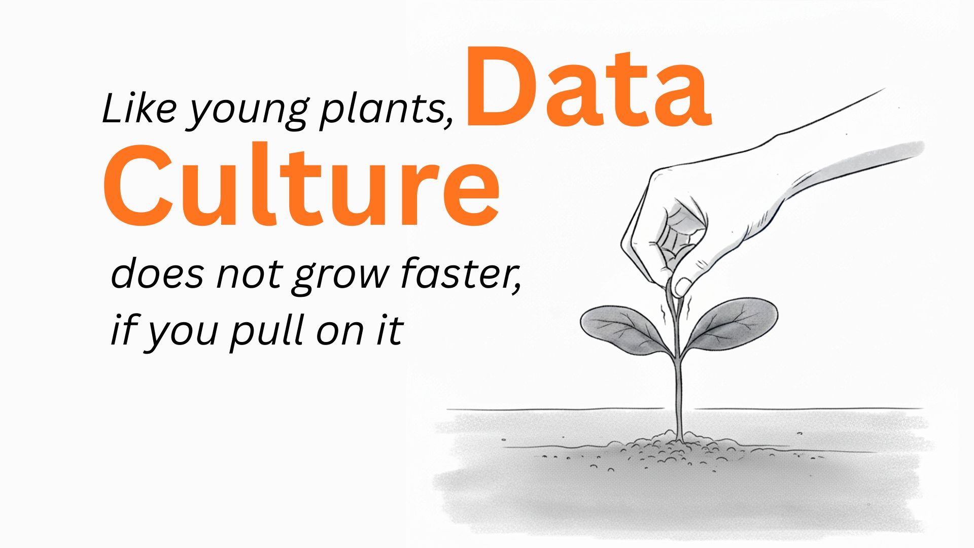 Stop Trying to Engineer Data Culture