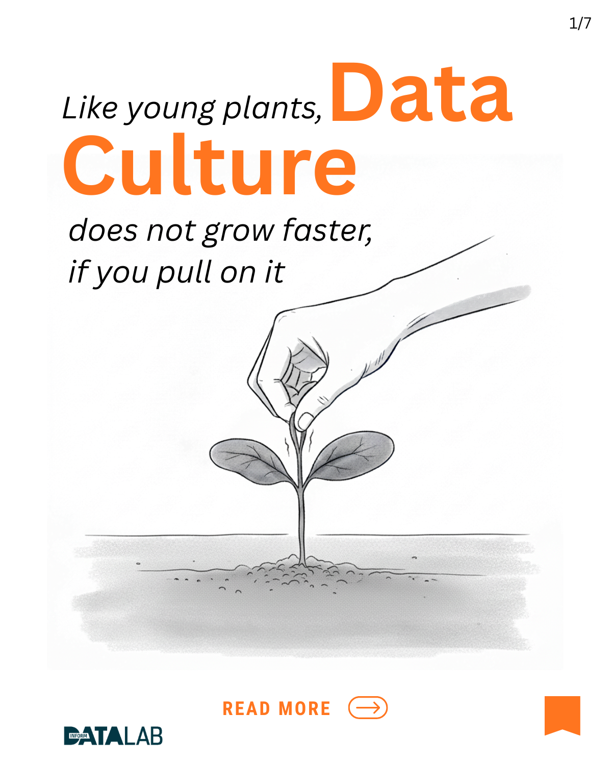 Datenkultur ist wie junges Gemüse – es wächst nicht schneller, nur weil man dran zieht