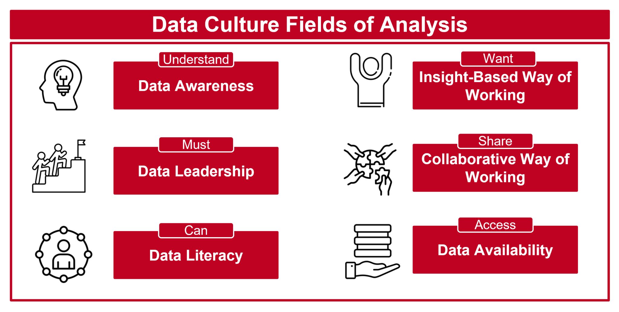 Focus fields for data culture analysis